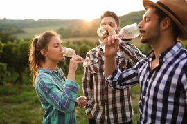 Sonoma Food & Wine Tour