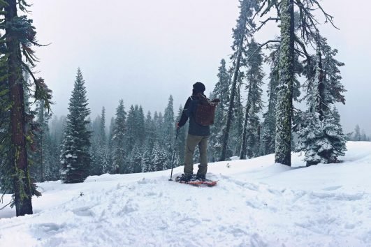 Yosemite Valley & Giant Sequoias Winter Snowshoe Tour