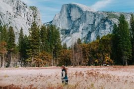 Yosemite Valley Orientation Tour