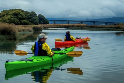 Humboldt Bay Kayak Tour